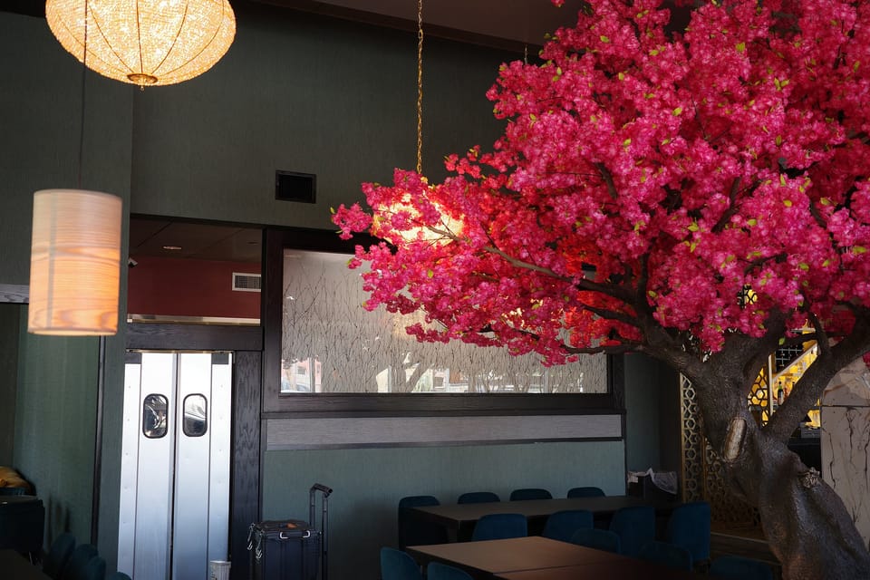 Restaurant wall behind a blossom tree